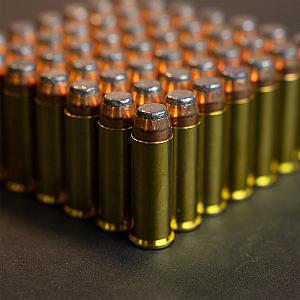 .44 Rem. Magnum